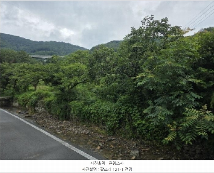 2025타경816 경상북도 청도군 이서면 팔조리 119 농지 경매 이미지