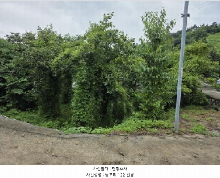 2025타경816 경상북도 청도군 이서면 팔조리 119 농지 경매 이미지