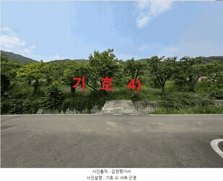 2025타경816 경상북도 청도군 이서면 팔조리 119 농지 경매 이미지