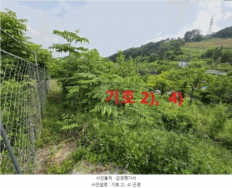 2025타경816 경상북도 청도군 이서면 팔조리 119 농지 경매 이미지
