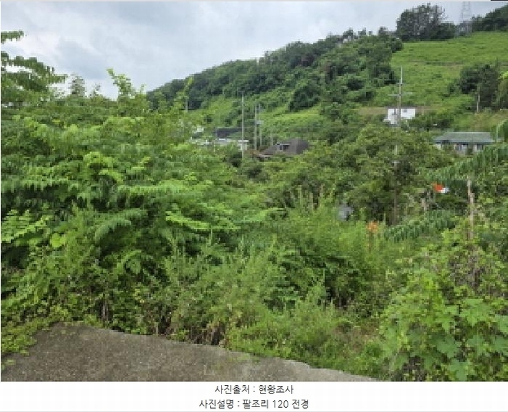 2025타경816 경상북도 청도군 이서면 팔조리 119 농지 경매 이미지