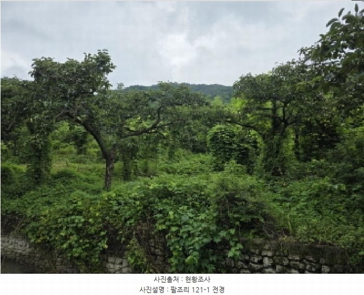 2025타경816 경상북도 청도군 이서면 팔조리 119 농지 경매 이미지