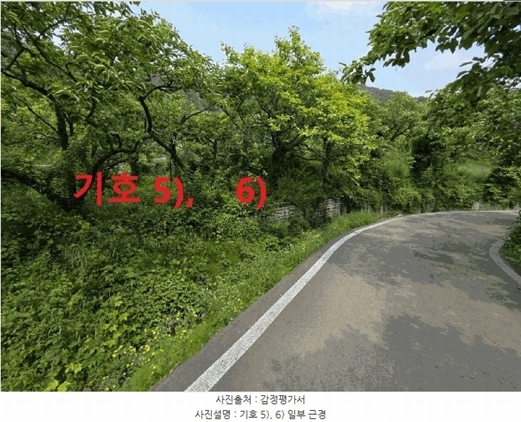 2025타경816 경상북도 청도군 이서면 팔조리 119 농지 경매 이미지