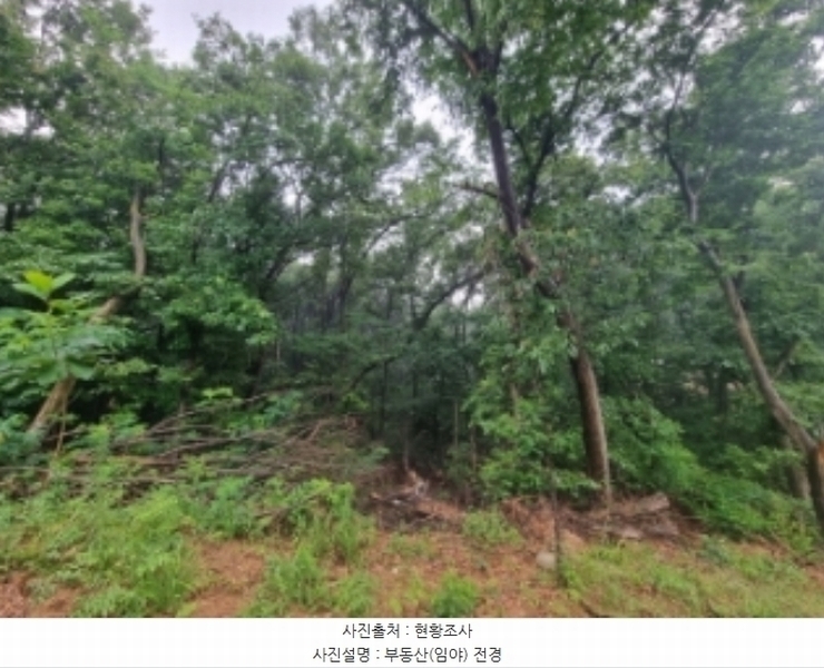 2024타경104933 경기도 의왕시 월암동 138-1 임야 경매 이미지