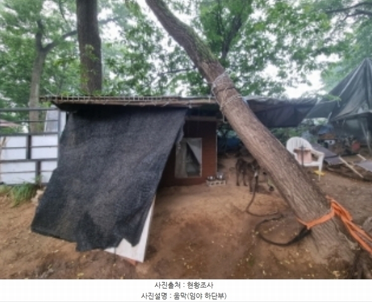 2024타경104933 경기도 의왕시 월암동 138-1 임야 경매 이미지