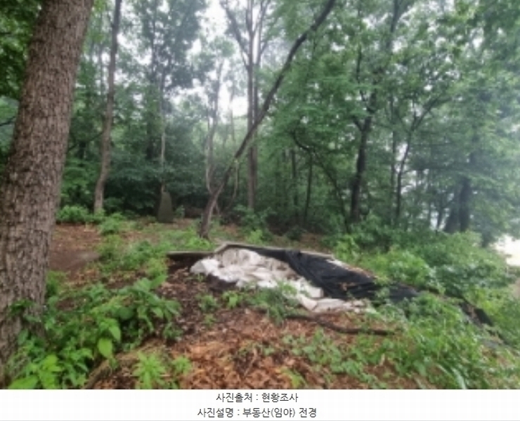 2024타경104933 경기도 의왕시 월암동 138-1 임야 경매 이미지