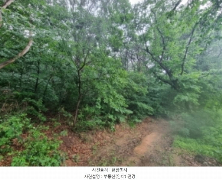 2024타경104933 경기도 의왕시 월암동 138-1 임야 경매 이미지