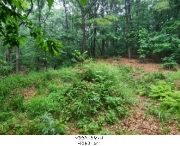 2024타경104933 경기도 의왕시 월암동 138-1 임야 경매 이미지