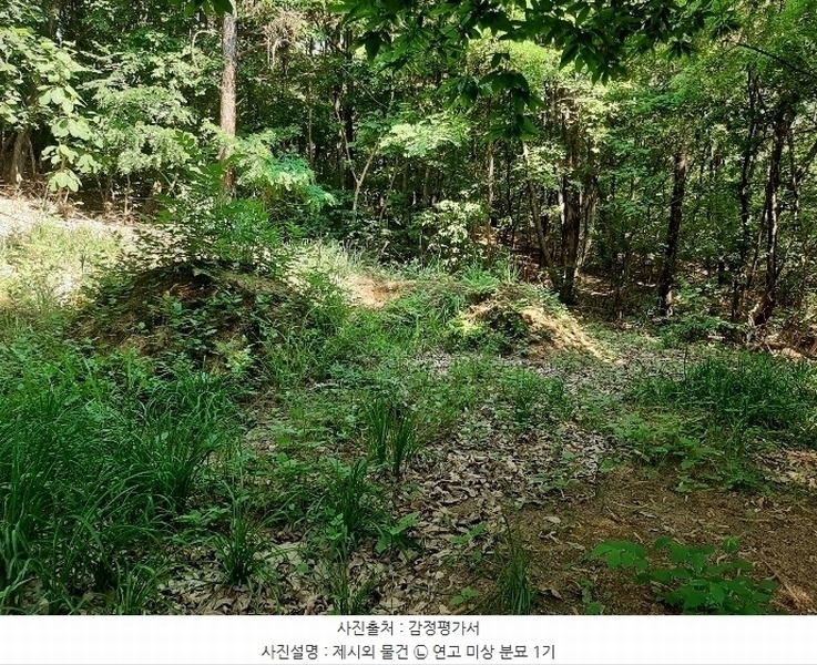 2024타경104933 경기도 의왕시 월암동 138-1 임야 경매 이미지