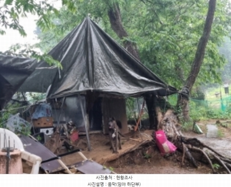 2024타경104933 경기도 의왕시 월암동 138-1 임야 경매 이미지