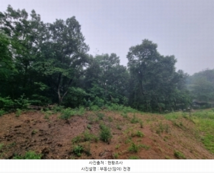 2024타경104933 경기도 의왕시 월암동 138-1 임야 경매 이미지