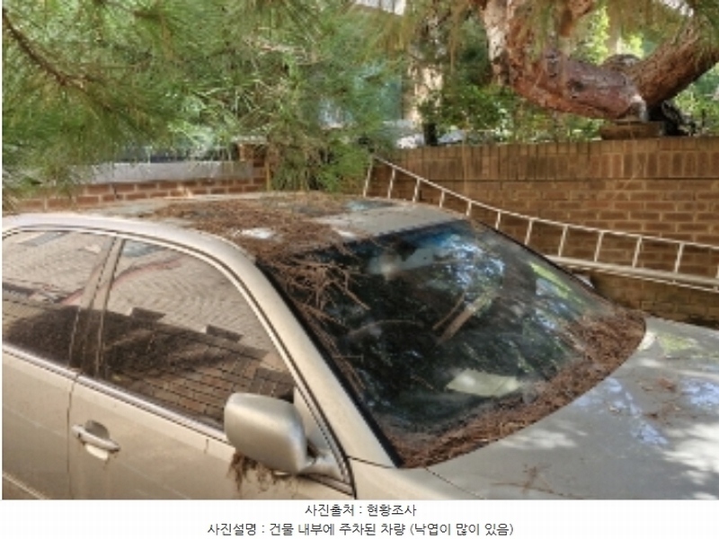 2024타경107628 경기도 안양시 동안구 호계동 1099-7 근린주택 경매 이미지