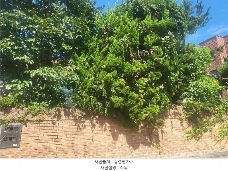 2024타경107628 경기도 안양시 동안구 호계동 1099-7 근린주택 경매 이미지