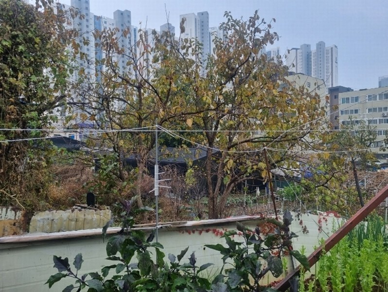 2024타경109662 경기도 안양시 동안구 호계동 843-3 농지 경매 이미지