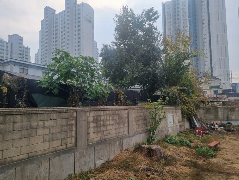 2024타경109662 경기도 안양시 동안구 호계동 843-3 농지 경매 이미지