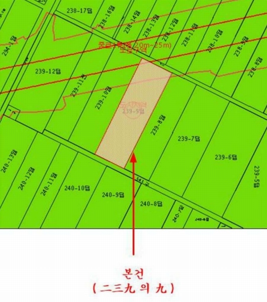 2025타경137 부산광역시 강서구 강동동 239-9 농지 경매 이미지