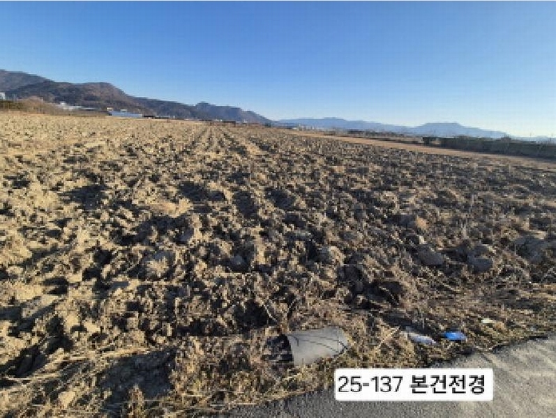 2025타경137 부산광역시 강서구 강동동 239-9 농지 경매 이미지