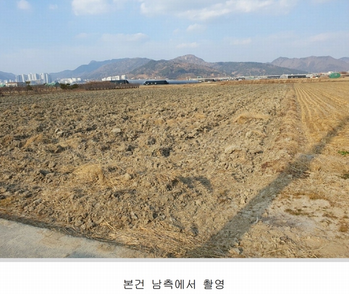 2025타경137 부산광역시 강서구 강동동 239-9 농지 경매 이미지