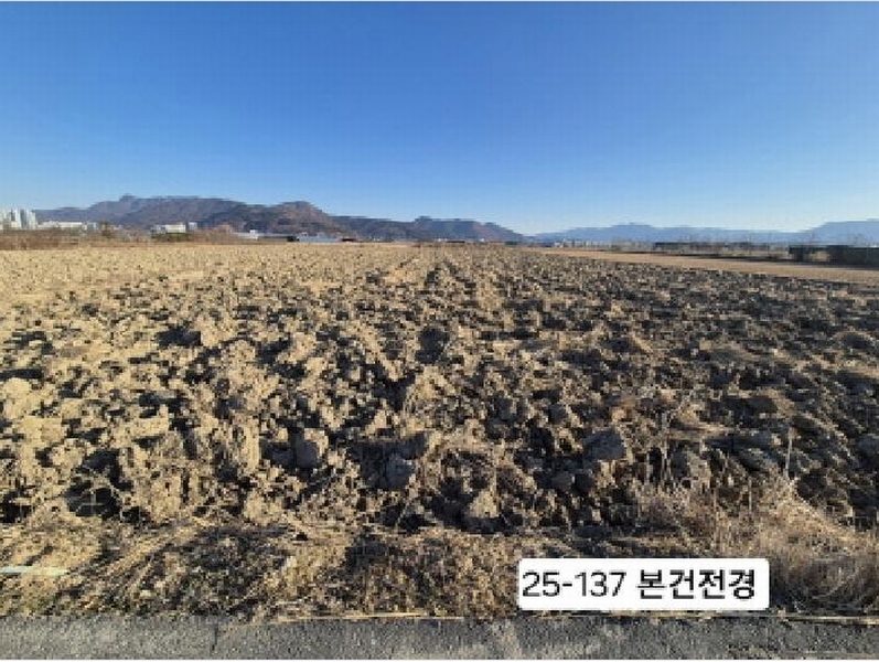 2025타경137 부산광역시 강서구 강동동 239-9 농지 경매 이미지