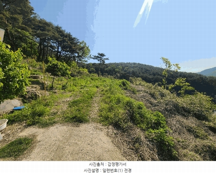 2025타경199 경상남도 창원시 마산합포구 진전면 일암리 1085-7 농지 경매 이미지