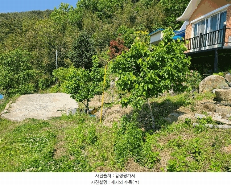 2025타경199 경상남도 창원시 마산합포구 진전면 일암리 1085-7 농지 경매 이미지
