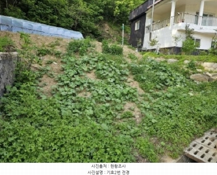 2025타경100310 경상북도 봉화군 봉화읍 거촌리 530 대지 경매 이미지