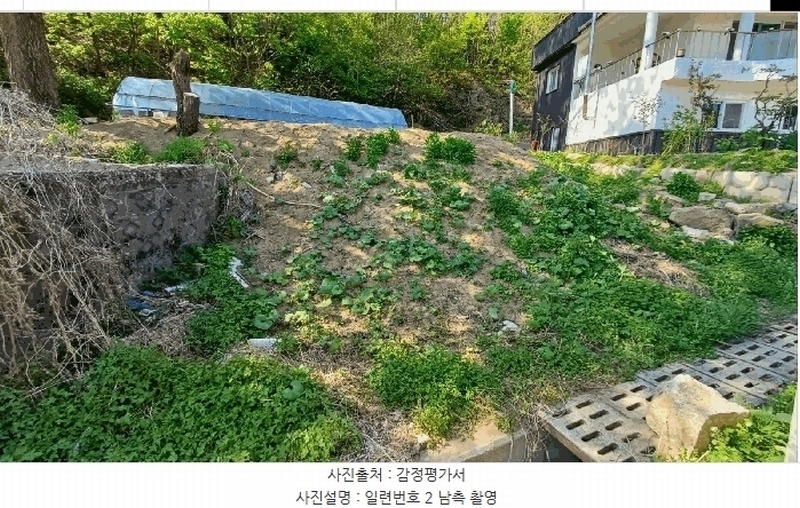 2025타경100310 경상북도 봉화군 봉화읍 거촌리 530 대지 경매 이미지
