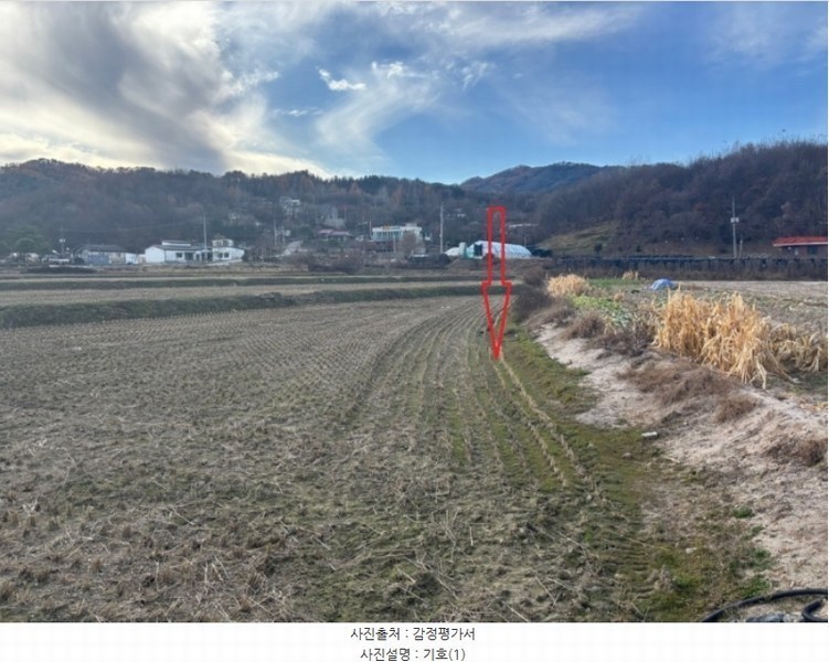 2024타경1954 강원특별자치도 춘천시 남산면 방곡리 162-2 농지 경매 이미지