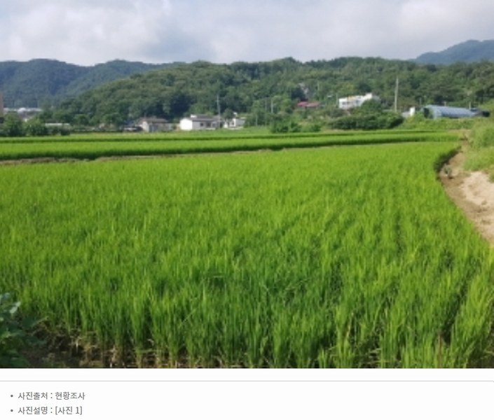 2024타경1954 강원특별자치도 춘천시 남산면 방곡리 162-2 농지 경매 이미지