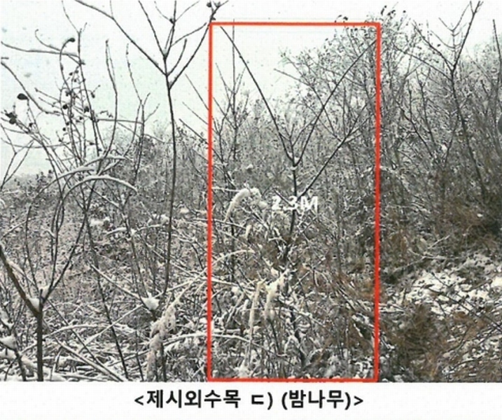 2024타경51904 강원특별자치도 화천군 상서면 봉오리 산147-1 임야 경매 이미지
