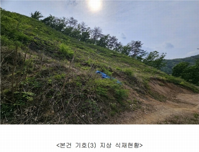 2024타경51904 강원특별자치도 화천군 상서면 봉오리 산147-1 임야 경매 이미지