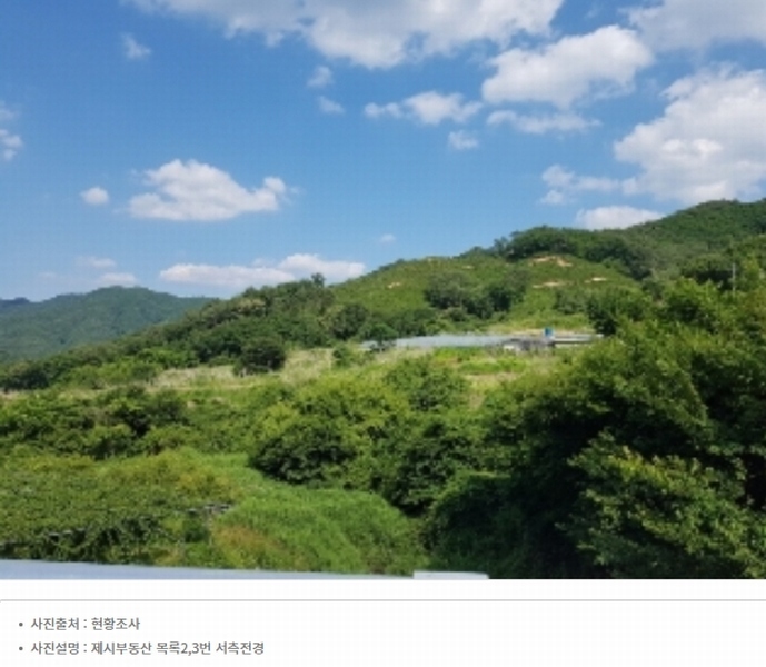 2024타경51904 강원특별자치도 화천군 상서면 봉오리 산147-1 임야 경매 이미지