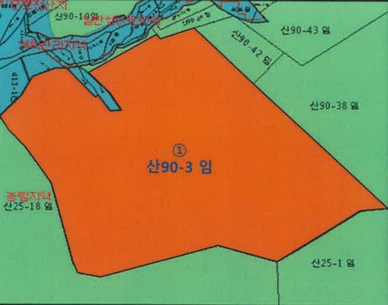 2024타경52860 강원특별자치도 춘천시 서면 안보리 산90-3 임야 경매 이미지