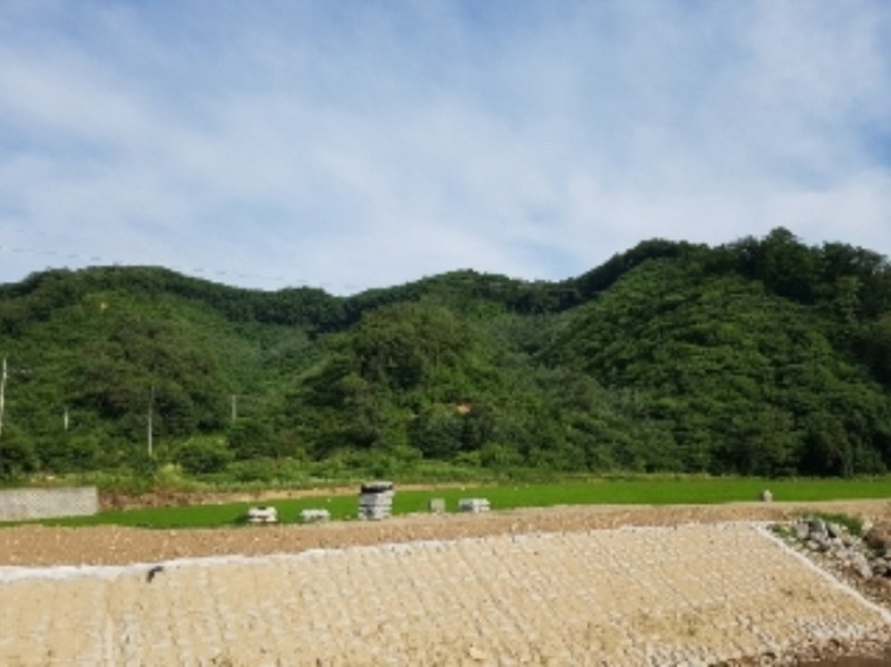 2024타경52860 강원특별자치도 춘천시 서면 안보리 산90-3 임야 경매 이미지