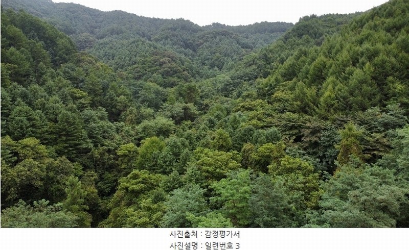 2024타경53221 강원특별자치도 춘천시 동면 품걸리 165 대지 경매 이미지