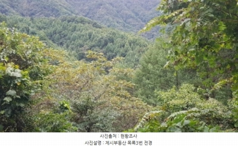 2024타경53221 강원특별자치도 춘천시 동면 품걸리 165 대지 경매 이미지