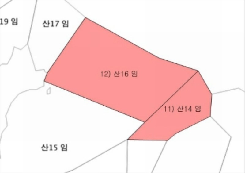 2024타경56053 강원특별자치도 춘천시 남면 박암리 산14 임야 경매 이미지