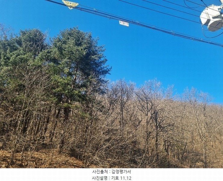 2024타경56053 강원특별자치도 춘천시 남면 박암리 산14 임야 경매 이미지