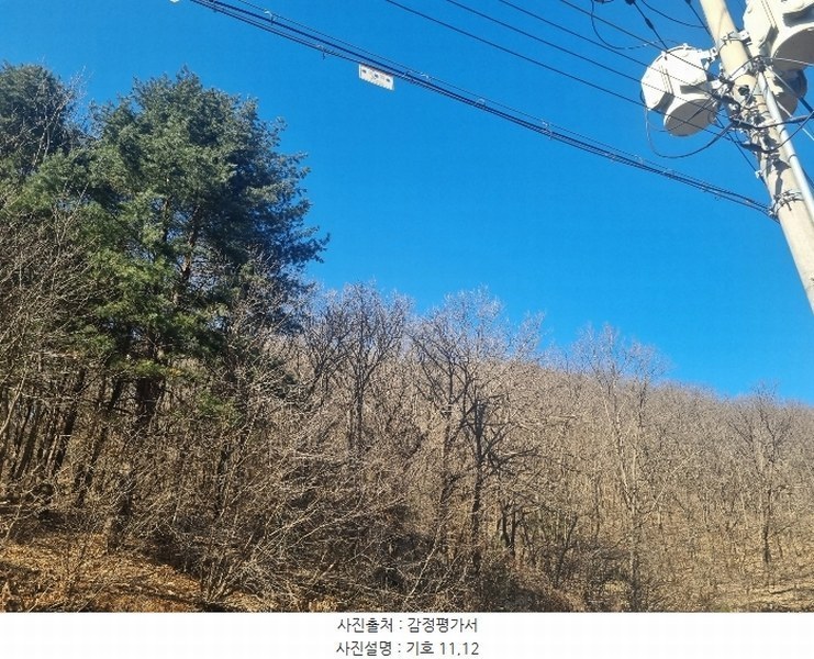 2024타경56053 강원특별자치도 춘천시 남면 박암리 산14 임야 경매 이미지