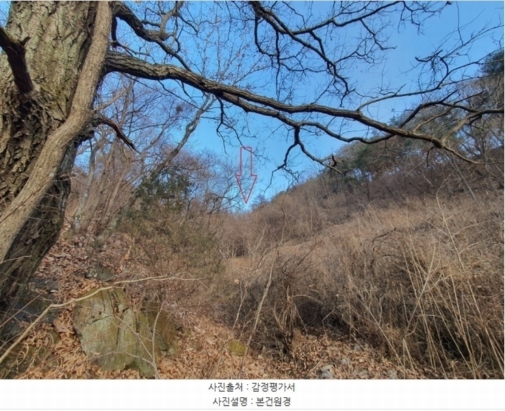 2024타경56145 강원특별자치도 화천군 하남면 삼화리 381 농지 경매 이미지