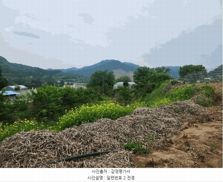2025타경1210 강원특별자치도 홍천군 화촌면 장평리 254 농지 경매 이미지