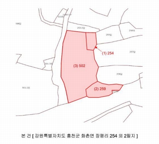 2025타경1210 강원특별자치도 홍천군 화촌면 장평리 254 농지 경매 이미지