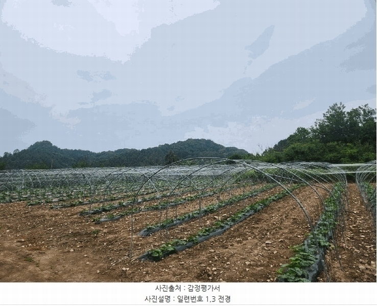 2025타경1210 강원특별자치도 홍천군 화촌면 장평리 254 농지 경매 이미지