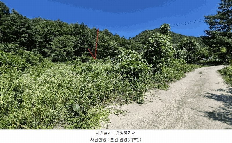 2025타경1449 강원특별자치도 홍천군 영귀미면 노천리 산207-2 임야 경매 이미지