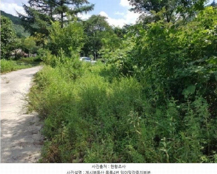 2025타경1449 강원특별자치도 홍천군 영귀미면 노천리 산207-2 임야 경매 이미지