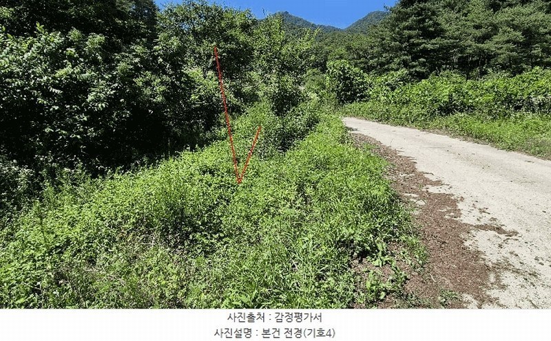 2025타경1449 강원특별자치도 홍천군 영귀미면 노천리 산207-2 임야 경매 이미지