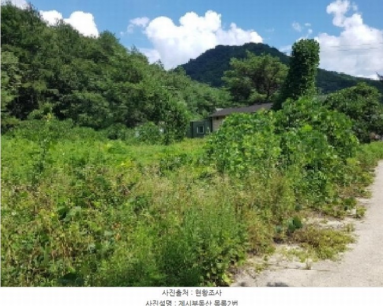 2025타경1449 강원특별자치도 홍천군 영귀미면 노천리 산207-2 임야 경매 이미지
