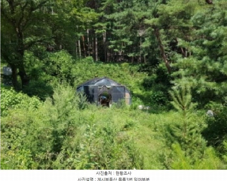 2025타경1449 강원특별자치도 홍천군 영귀미면 노천리 산207-2 임야 경매 이미지