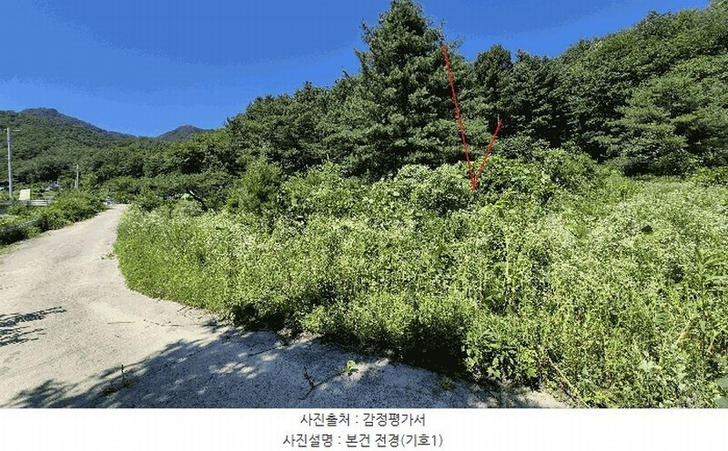 2025타경1449 강원특별자치도 홍천군 영귀미면 노천리 산207-2 임야 경매 이미지