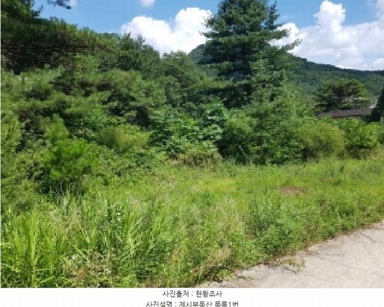 2025타경1449 강원특별자치도 홍천군 영귀미면 노천리 산207-2 임야 경매 이미지